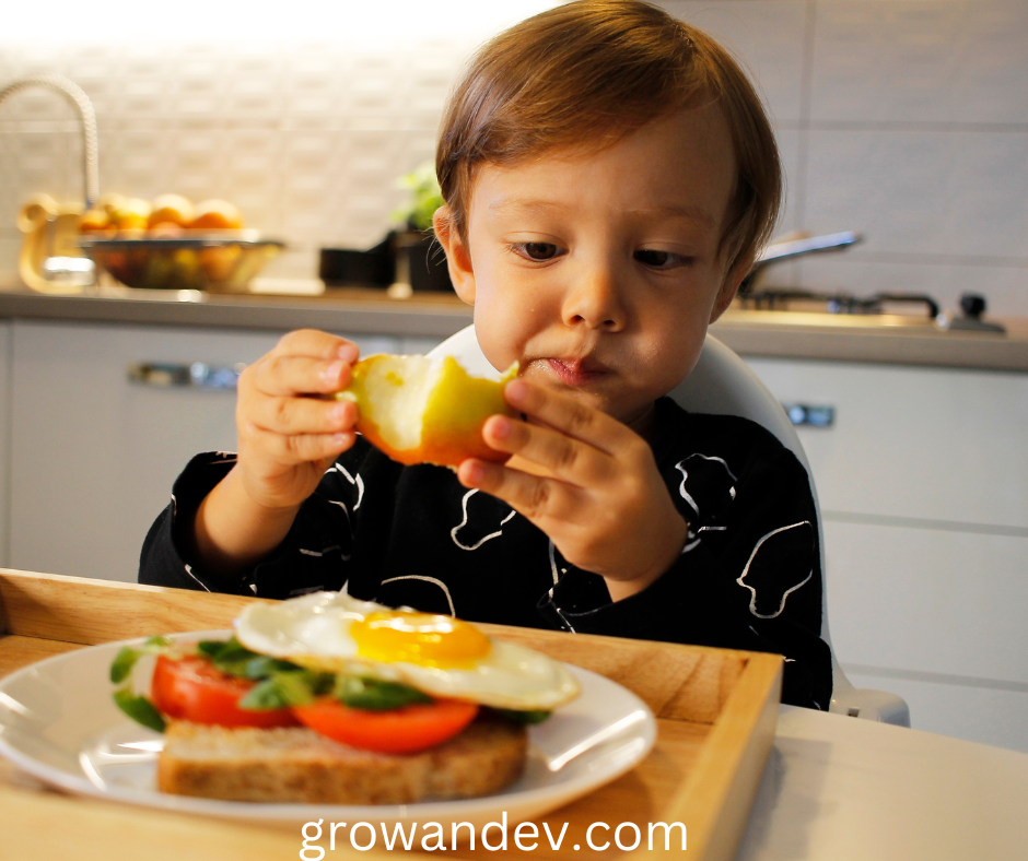 TODDLER MEAL IDEAS